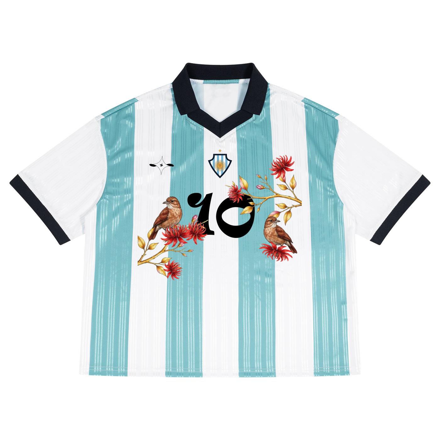 Maillot Argentin Le Terrain