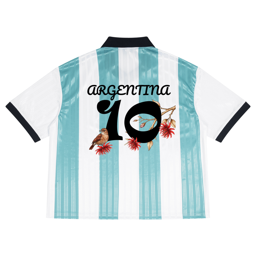 Maillot Argentin Le Terrain