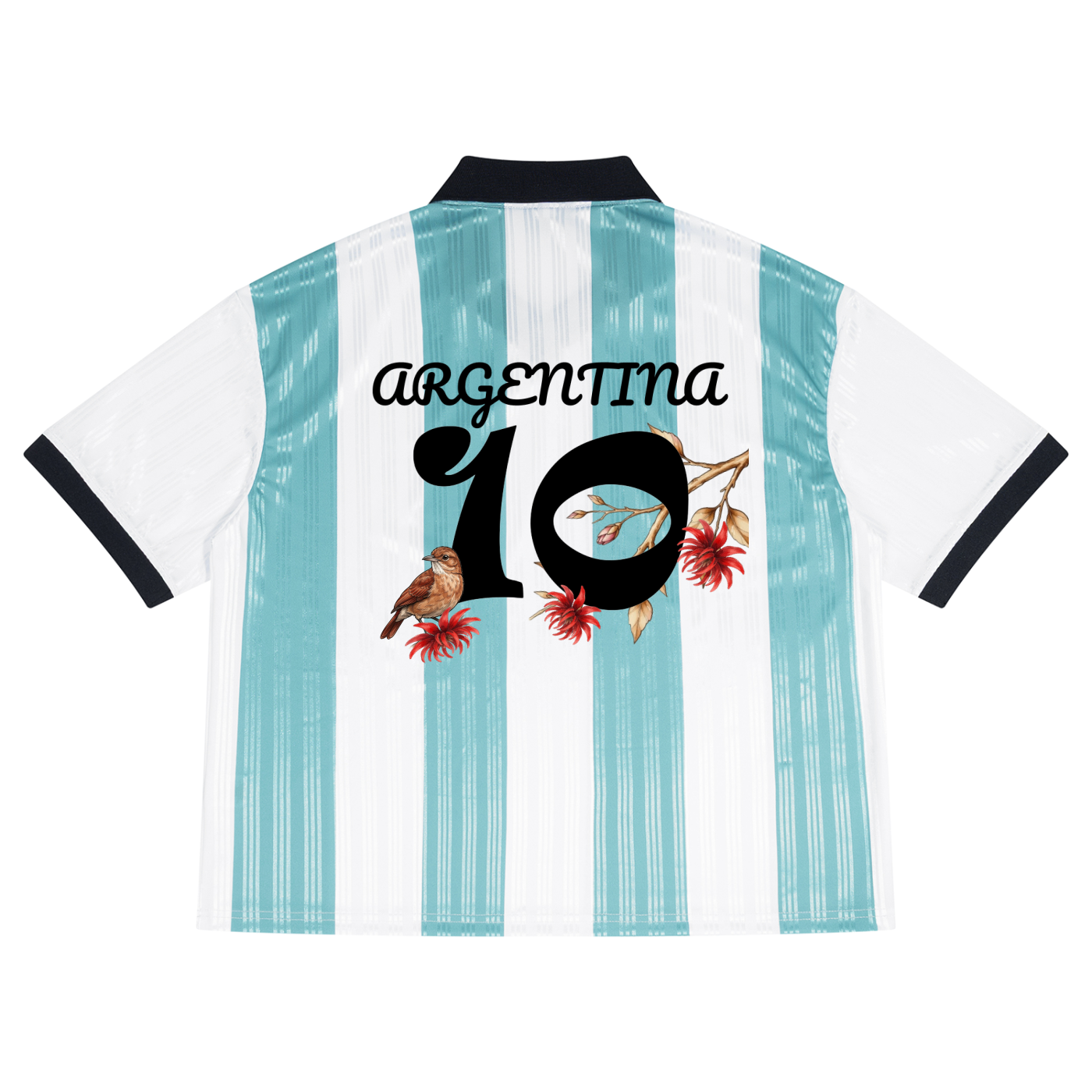 Maillot Argentin Le Terrain