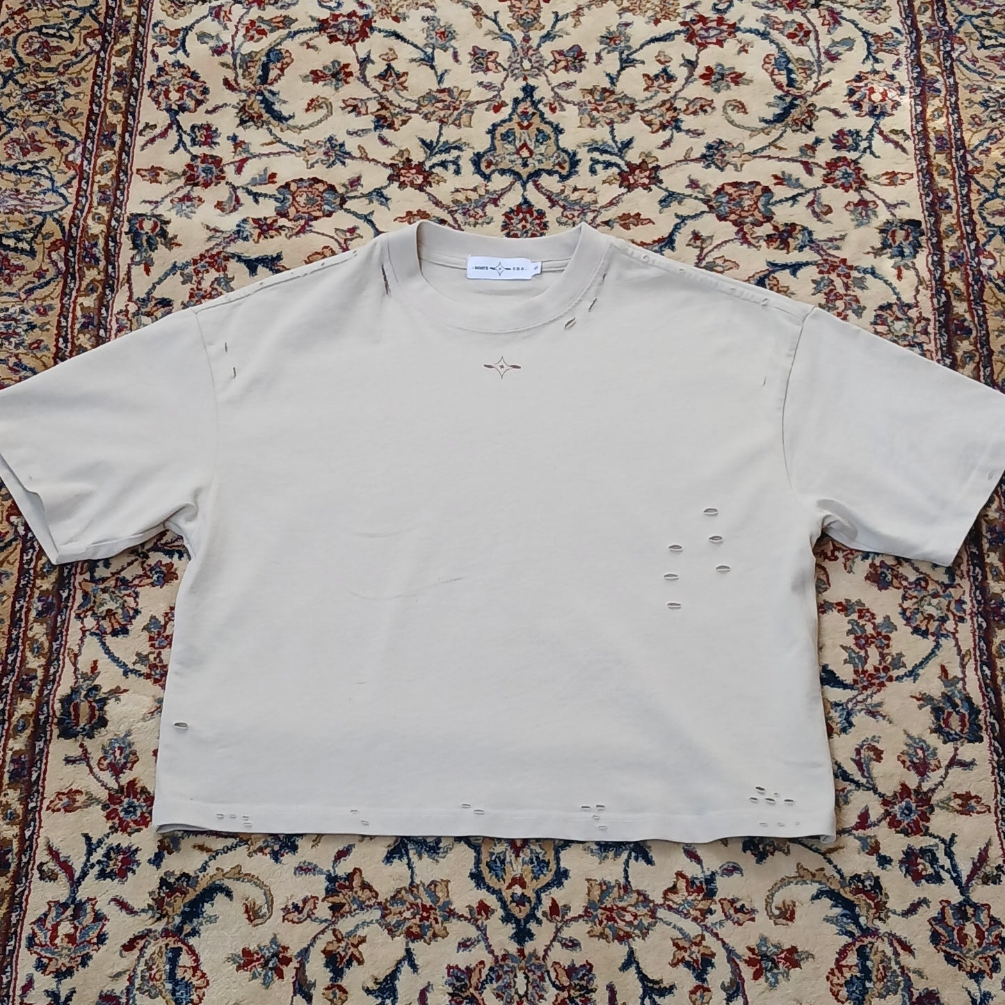 Studio Frayed Boxy Tee